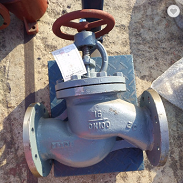 Angle Globe Stop Check Valve