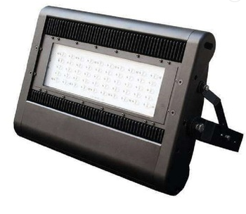 Stainless Steel Flood Light